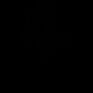 Meet your Posher, Martina